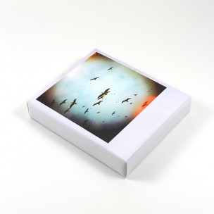 http://zoingimage.com/1318-thickbox_default/brighton-rock-1.jpg