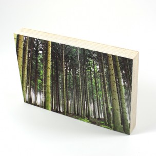 http://zoingimage.com/2029-thickbox_default/birch-plywood.jpg