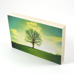 http://zoingimage.com/2034-thickbox_default/birch-plywood.jpg