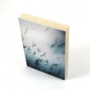 http://zoingimage.com/2037-thickbox_default/birch-plywood.jpg