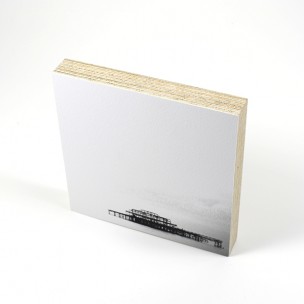 http://zoingimage.com/2052-thickbox_default/birch-plywood.jpg