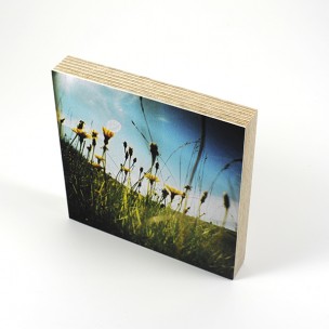 http://zoingimage.com/2057-thickbox_default/birch-plywood.jpg