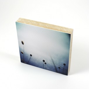 http://zoingimage.com/2068-thickbox_default/birch-plywood.jpg